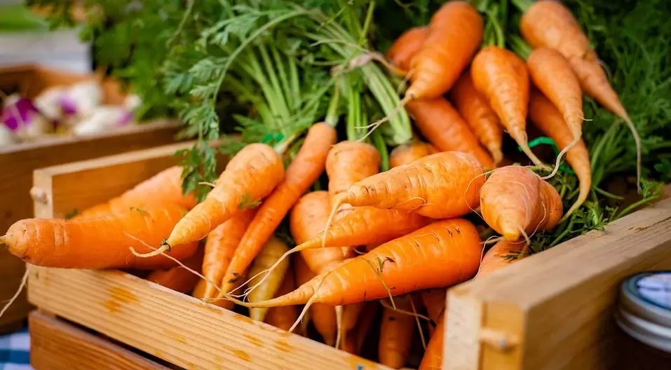 des carottes pour le pouvoir